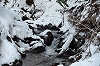冬の矢入川と矢入大滝