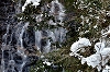 冬の矢入川と矢入大滝